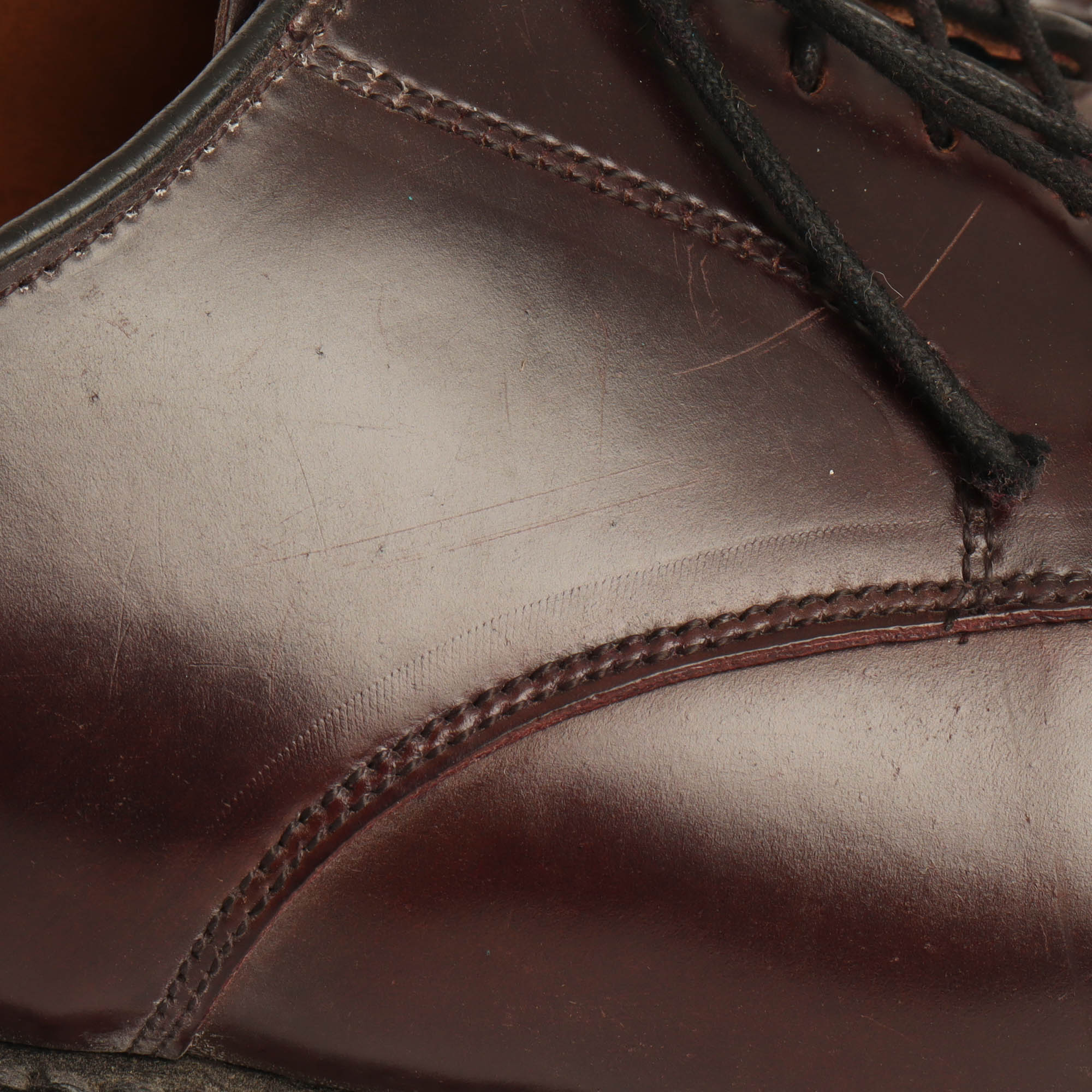 Cordovan Bradley Derby - Image 6